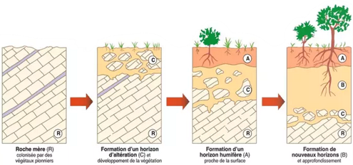 Apparition d'un sol et son évolution sous l'effet des éléments climatiques